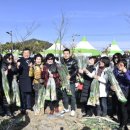 금골마루 이미지