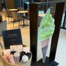 폴바셋혜화역점 이미지