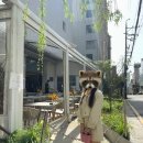 압구정 로데오 테라스 브런치 맛집 보메청담 후기 (청첩장 모임 장소 추천)