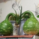 소문난만복래 이미지