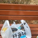 더조은명가손만두 이미지