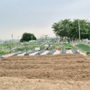 춘포면-12 이미지