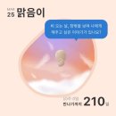 스튜디오루나스 | [10~15주차] 한 달만에 결혼식하기/맑음이 성별