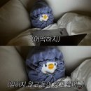 더베베 이미지