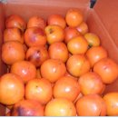 호두나무 이미지