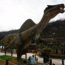 앞산어린이공원 놀이터 이미지