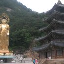 법주사 - 경상북도 군위군 | 법주사