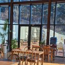 이든하우스카페 | [경기 광주 카페] 경기도 광주 제주베어하우스, 베이커리 맛집 대형 카페 후기