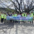 쓱싹쓱싹 이미지