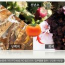 감이조아 이미지