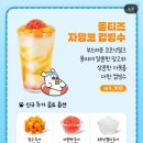 몰티즈 자망코 컵빙수 내돈내산 후기 양쯔깐루 리트리버 바닐라 젤라또 수박 화채 에이드 디저트 가격 정보
