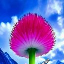 5월4일 전국노래자랑 초대가수 녹화,고려거란전쟁 3 이미지