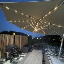 나무들의 수다 이미지