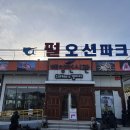 파라다이스 투어