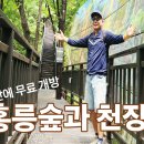 럭키보이의 🚶 트레킹_33년만에 무료 개방한 홍릉숲과 천장산 이미지