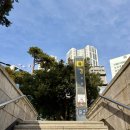 오늘집밥 | 매일 고민하는 '오늘 뭐 먹지?' 아침식단과 집밥 기록 (+JLPT N3 시험 후기)