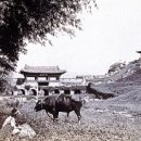 한국의 역사 귀한 사진 이미지