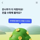 돈나무 이미지