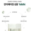 펜타디자인 이미지