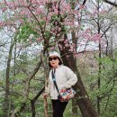 우면산6-4 이미지