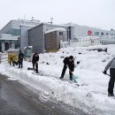 강릉우편집중국 앞 이미지