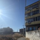 다난작은도서관 | 김포점집 황용사 2026년도에는 어떻게 살아야할까? 신점 본 후기