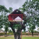 재준목장 | 나트랑 갈만한곳 판랑 사막지프 양떼목장 사원투어 굿