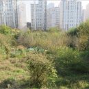 포항시북구93 이미지