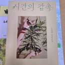 양천도서관 | 목동 양천도서관 방문 후기