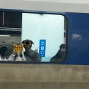 경주 3박 4일 일정 추천 (그래도 부족함, 11월 경주 날씨)