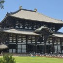 행정사 다인 이미지