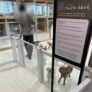 더누리개 이미지