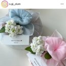 설기지음