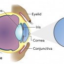 더클래스동물메디컬센터 이미지