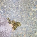 사계절펜션형민박 이미지