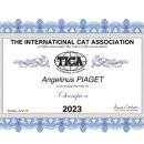 ANGELINUS CATTERY 네이버블로그