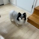 서리로101번길 이미지