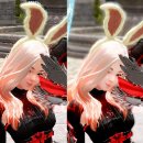 슈테른헤어 이미지