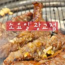 중앙역건너편 페달로옆 | 광교중앙역 고기집 소요일 광교점, 안동식 소갈비살 제대로 즐긴 후기