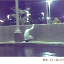 제이에스메디케어 이미지