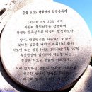 시선을 끄는 거리의 명물-⑮ 이미지