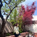 안씨하우스(AnC House) 이미지