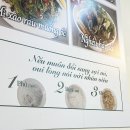 매봉역 맛집 내돈내산 베트남 보다 더 현지 같은 호앙비엣 도곡점