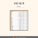 블리스 동물의료센터 이미지