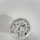 그래잇그릭