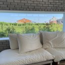 HaRi Grooming(하리애견) | [홍성 카페] 카페드하리 (cafe de hari)