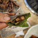 미식가의고기