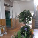 하당병설유치원 이미지