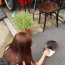 필승목장 이미지