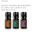 가족테라피 이미지